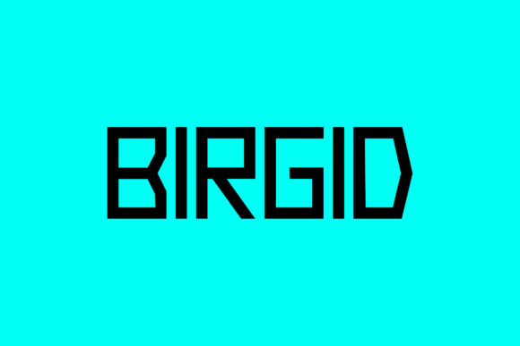 Birgid: A Modern Display Font for Web Design